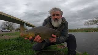 Targeting tench on the Tiverton Canal [upl. by Ishmul]