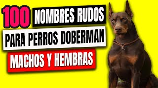 100 INCREIBLES Nombres RUDOS Para Perros Doberman  Machos y Hembras 💪 [upl. by Nemzaj]