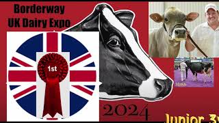 UK Dairy Expo 2024Class 66Junior 3 yr old Holstein13 Entered [upl. by Ajiat]