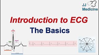 Introduction to ECG  The Basics  ECG Paper PQRST wave Rate Rhythm Axis and Interval [upl. by Zosema868]