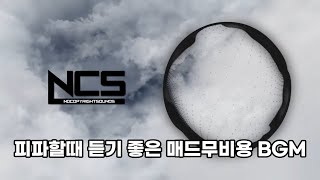 롤 피파 게임할때 듣기 좋은 NCS 브금 1시간 모음 [upl. by Blader670]