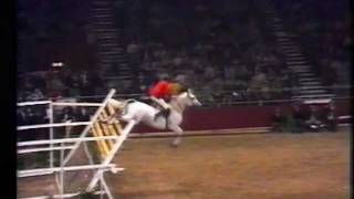 Nick Skelton on Lastic  Record jump on 232 m [upl. by Noxid418]