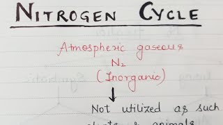 Biogeochemical Cycle Nitrogen Cycle [upl. by Eiaj509]