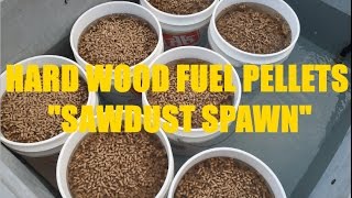 WTF VLOG  21 HARDWOOD FUEL PELLETS  SAWDUST SPAWN [upl. by Esmeralda]