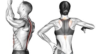 How To Improve Back Posture with Exercise [upl. by Nickerson]