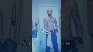 Area 69👽🔥 dalex reggaeton trap [upl. by Justicz]