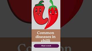 Common diseases in chilli plant [upl. by Ora250]