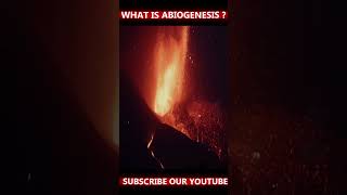 Abiogenesis ਥਿਊਰੀ ਕੀ ਹੁੰਦੀ ਆ [upl. by Aslehc]