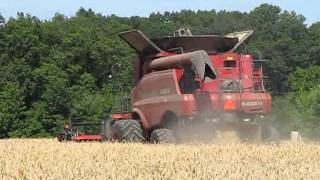 Case IH 6088 Combine in Wheat [upl. by Ased]