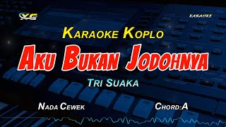 AKU BUKAN JODOHNYA KARAOKE KOPLO NADA CEWEK [upl. by Ammadas]