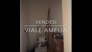 TRILOCALE IN VENDITA IN VIALE AMELIA 6 [upl. by Severn]