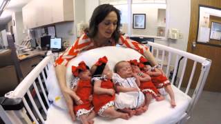 Seals Quintuplets Held By Mother for the First Time [upl. by Nylrats901]