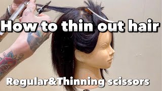 How to thin out thickhair with Regular ampThinning scissors [upl. by Crowell739]