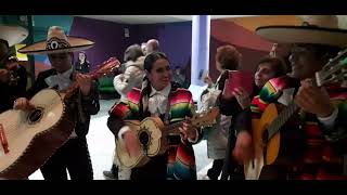 Mexican folk singers at Mandorlo in fiore celebration in Agrigento Sicily 20243 [upl. by Ahders236]