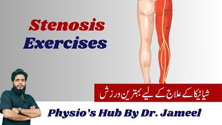 L4L5S1 Stenosis  Physical Therapy treatment  Best Exercise [upl. by Elurd]