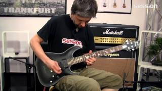 SCHECTER Damien Platinum 6 SB [upl. by Lula992]