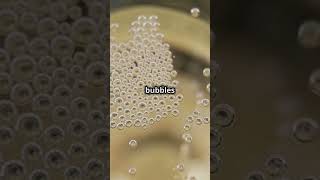 Nucleation How Bubbles and Ice Are Born facts scienceshorts [upl. by Osborn751]