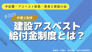 【弁護士監修・最大1300万円】建設アスベスト給付金制度とは？中皮腫・肺がん・石綿肺などのアスベスト被害に関する国の給付金制度を解説 [upl. by Adiarf]