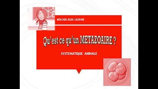 Présentation des Métazoaires [upl. by Stuart403]