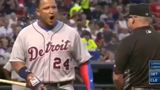 MLB Greatest Ejections  2016 [upl. by Owens116]