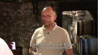 Understanding Burgundy Chablis Grand Crus with Bernard Raveneau [upl. by Elocyn]