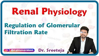 Regulation of Glomerular Filtration Rate  Physiology USMLE Step 1 [upl. by Oj800]