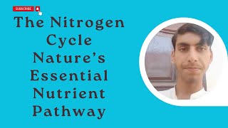 The Nitrogen Cycle Nature’s Essential Nutrient Pathway [upl. by Ylil]