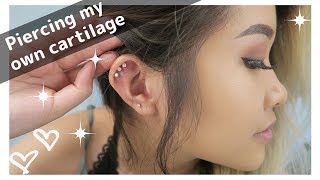 Piercing my triple cartilage AT HOME [upl. by Ajim957]