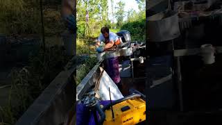 Catch Fresh Crawfish with Jacob Cortez in Louisiana’s Bayou Waters [upl. by Belia]