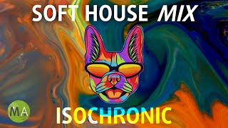 Soft House Upbeat Study Music  Isochronic Tones  French Bulldog Mix [upl. by Dahlia14]