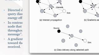 Flat Network Routing in Wireless Sensor Network  OJASWI DIXIT [upl. by Aihselef]