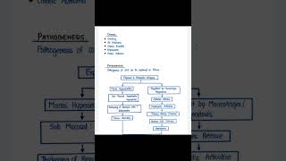 COPD Pathogenesis b pharm Pathophysiology [upl. by Aivatnwahs386]