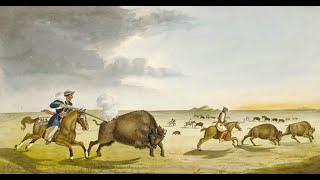 The Incredible History of the Métis Buffalo Hunters of Canada [upl. by Tound185]