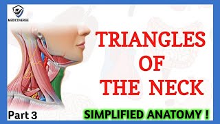 Triangles of the neck location and contents preview  Human Anatomy  Kenhub [upl. by Neyut]