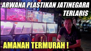 ARWANA PLASTIKAN JATINEGARA‼️ CEK HARGA AN4KAN ARWAN4 TERMURAH KO ANTO PASAR IKAN HIAS JATINEGARA [upl. by Garate]