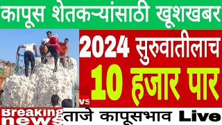 संपूर्ण राज्यातील कापूस शेतकऱ्यांसाठी सर्वात ताजी गुड न्यूज 2024 सुरुवातीलाच कापूसभाव 10000 पार Live [upl. by Sivle]