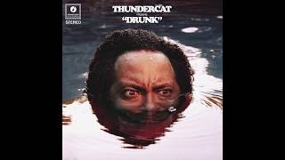 Thundercat  Them Changes [upl. by Litsyrk999]