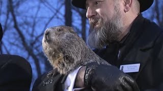 Groundhog Day 2024 Wiarton Willie predicts early spring for Canada [upl. by Attezi]