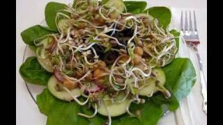 Bettys Mung Bean Sprout Salad [upl. by Sidonia561]