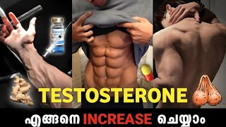 Testosterone 🍆 🧬Level Increase Naturally  Malayalam 🔱🔥 [upl. by Enicar]