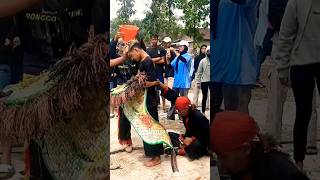 JARANAN MULAI DIMASUKIN shorts respect viral jaranan ndadi [upl. by Naginarb]