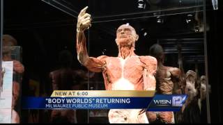 New Body Worlds exhibit opens in Milwaukee this weekend [upl. by Eicirtap]