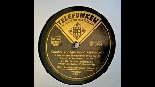 Beethoven Cavatina Furtwängler BPO  Telefunken SK 3104  SP 78rpm [upl. by Oigolue]