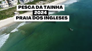 Tentativa de lanço à Tainha na Praia dos Ingleses [upl. by Ecydnak199]