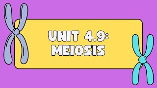 Unit 49 Meiosis [upl. by Wheelwright]