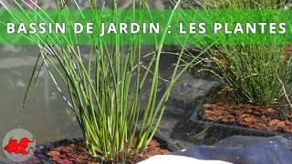 Bassin de jardin  Plantes aquatiques [upl. by Godspeed]