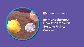 Immunotherapy How the Immune System Fights Cancer [upl. by Dennet]