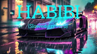 HABIBI 😈😈Slowed reverb song trending song music lxeditz747 [upl. by Melar]