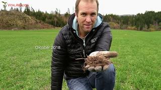 Regenerativt jordbruk på Fossnes gård [upl. by Quinta]