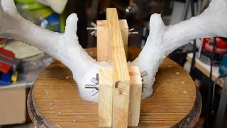 Molding And Casting My Whitetail Deer Antlers Part 2 [upl. by Tia]